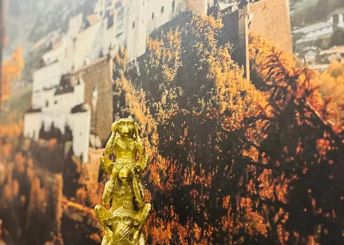 Casa * سالزبورغ